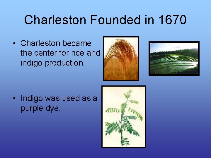 Charleston Founded in 1670 • Charleston became the center for rice and indigo production.