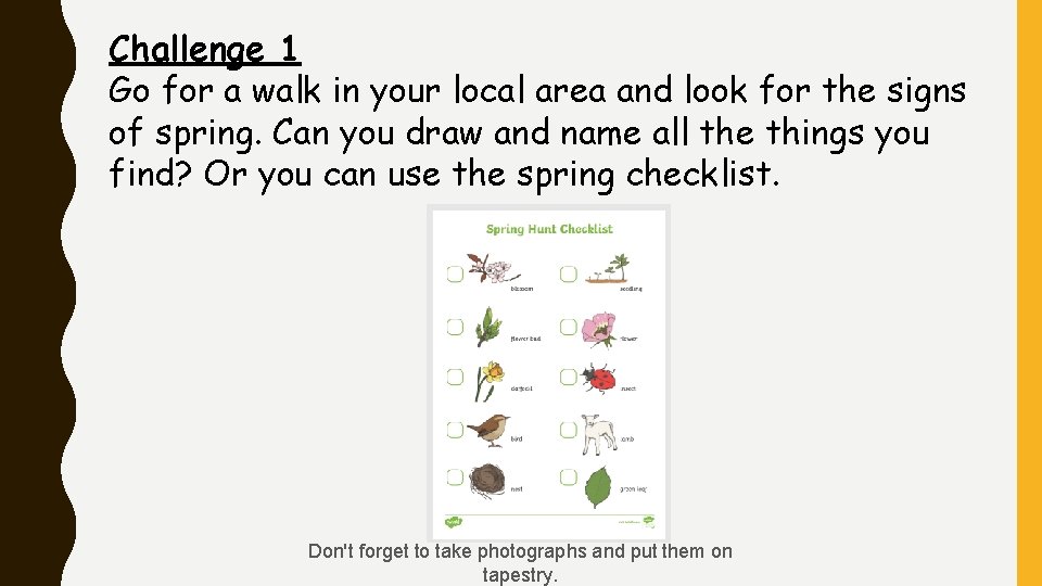 Challenge 1 Go for a walk in your local area and look for the