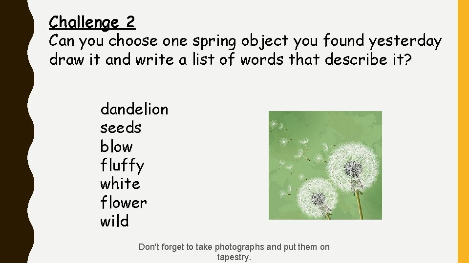 Challenge 2 Can you choose one spring object you found yesterday draw it and