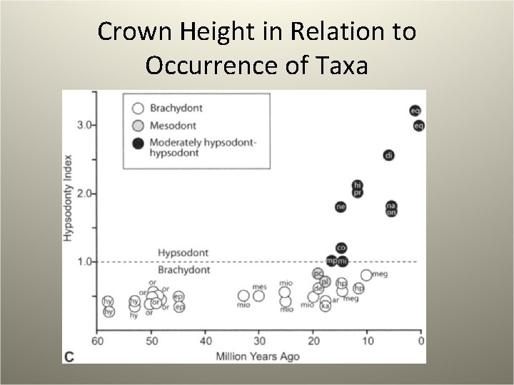 Crown Height in Relation to Occurrence of Taxa 