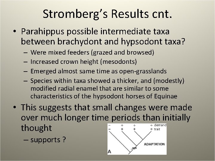 Stromberg’s Results cnt. • Parahippus possible intermediate taxa between brachydont and hypsodont taxa? –