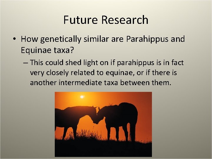 Future Research • How genetically similar are Parahippus and Equinae taxa? – This could