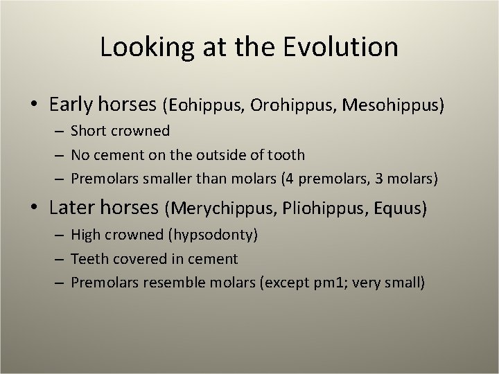 Looking at the Evolution • Early horses (Eohippus, Orohippus, Mesohippus) – Short crowned –