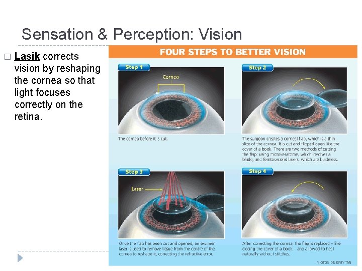 Sensation & Perception: Vision � Lasik corrects vision by reshaping the cornea so that