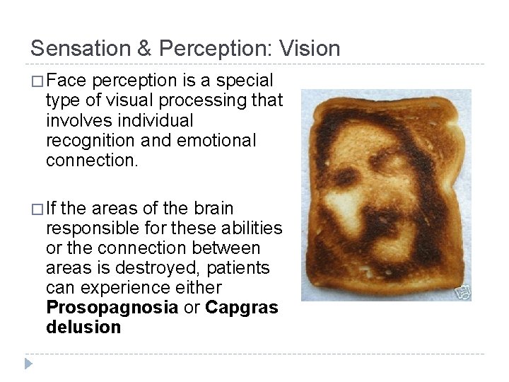 Sensation & Perception: Vision � Face perception is a special type of visual processing