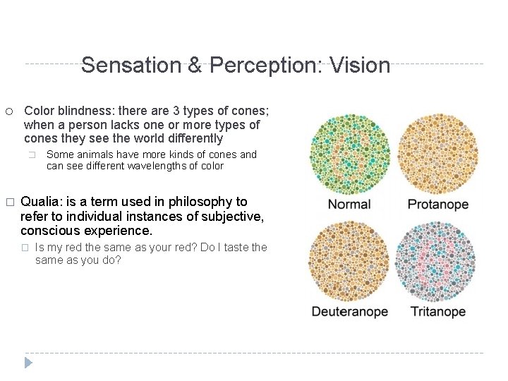 Sensation & Perception: Vision ¡ Color blindness: there are 3 types of cones; when