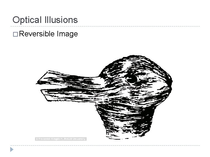 Optical Illusions � Reversible Image 