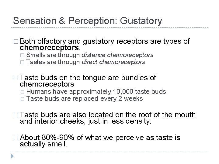 Sensation & Perception: Gustatory � Both olfactory and gustatory receptors are types of chemoreceptors. Sensation & Perception: Gustatory � Both olfactory and gustatory receptors are types of chemoreceptors.