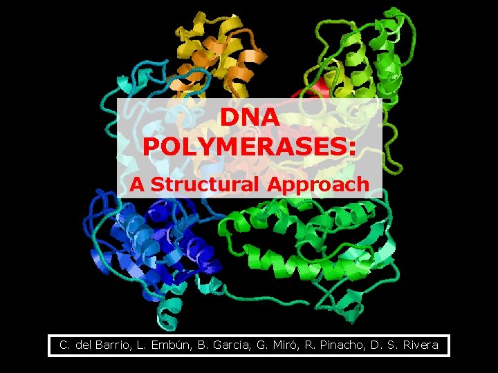DNA POLYMERASES: A Structural Approach C. del Barrio, L. Embún, B. García, G. Miró,
