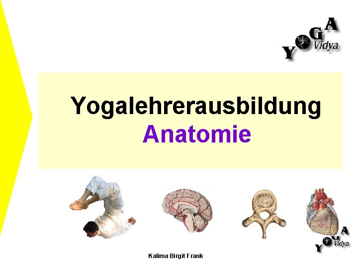 Yogalehrerausbildung Anatomie Kalima Birgit Frank 