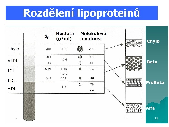 Rozdělení lipoproteinů 3 