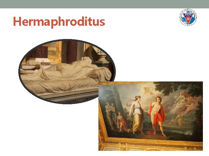 Hermaphroditus 