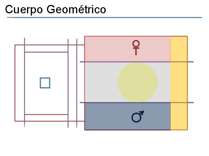 Cuerpo Geométrico 