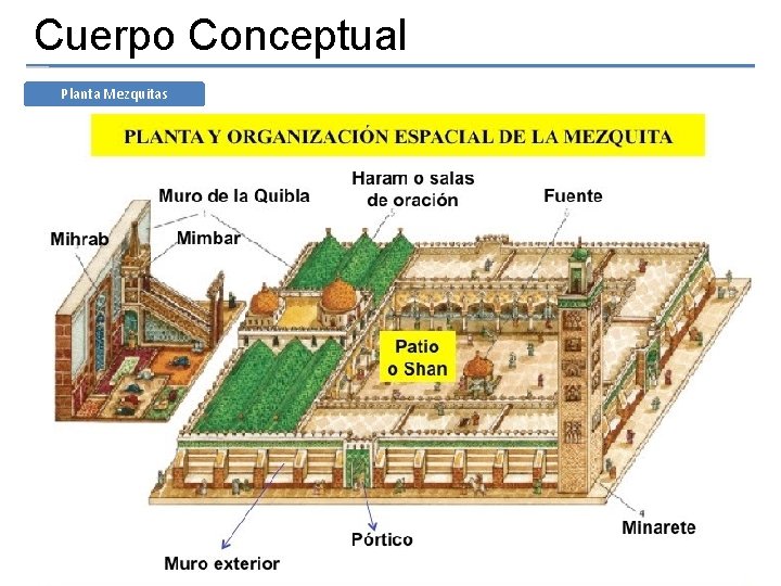 Cuerpo Conceptual Planta Mezquitas 