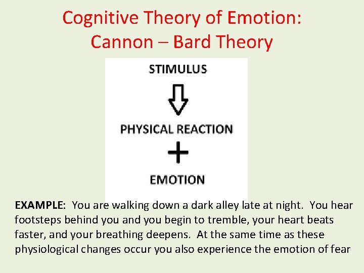 Cognitive Theory of Emotion: Cannon – Bard Theory EXAMPLE: You are walking down a
