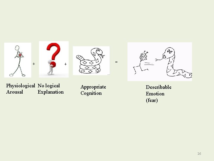 + Physiological No logical Explanation Arousal = + Appropriate Cognition Describable Emotion (fear) 16