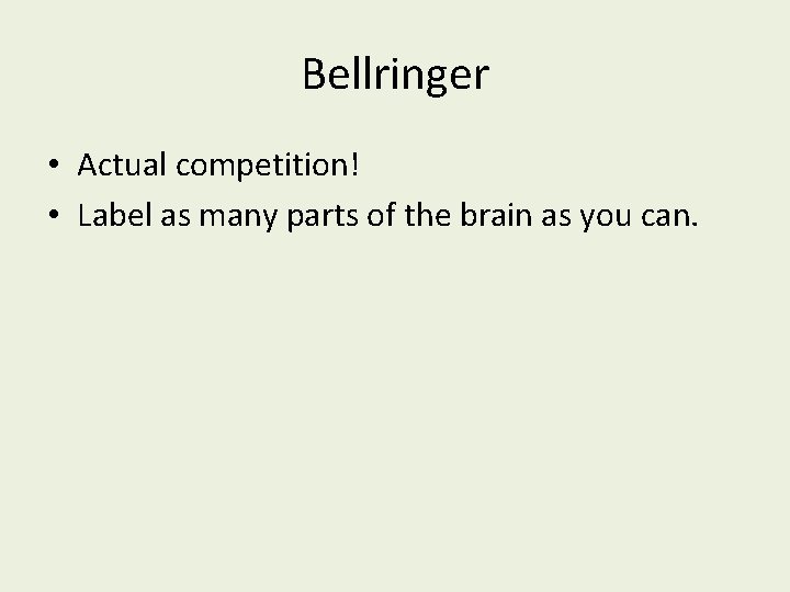 Bellringer • Actual competition! • Label as many parts of the brain as you