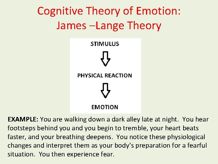 Cognitive Theory of Emotion: James –Lange Theory EXAMPLE: You are walking down a dark