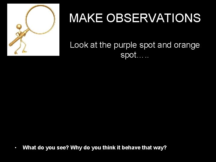 MAKE OBSERVATIONS Look at the purple spot and orange spot…. . • What do