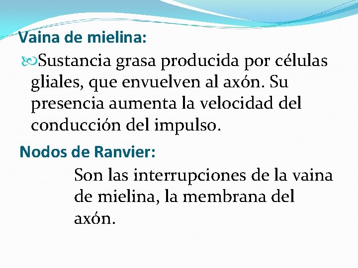 Vaina de mielina: Sustancia grasa producida por células gliales, que envuelven al axón. Su