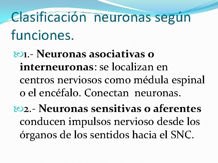 Clasificación neuronas según funciones. 1. - Neuronas asociativas o interneuronas: se localizan en centros