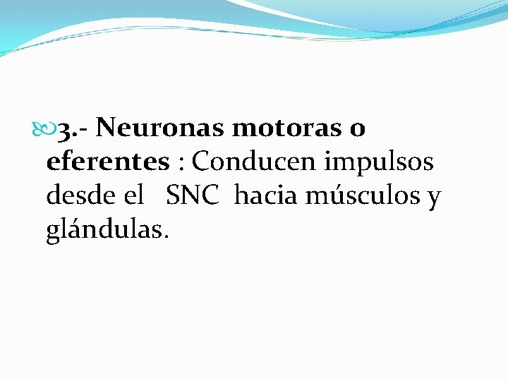 3. - Neuronas motoras o eferentes : Conducen impulsos desde el SNC hacia