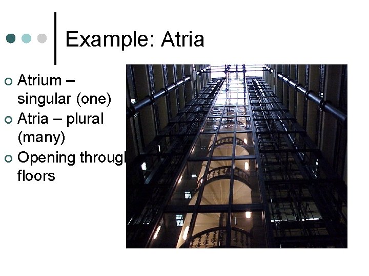 Example: Atria Atrium – singular (one) ¢ Atria – plural (many) ¢ Opening through Example: Atria Atrium – singular (one) ¢ Atria – plural (many) ¢ Opening through