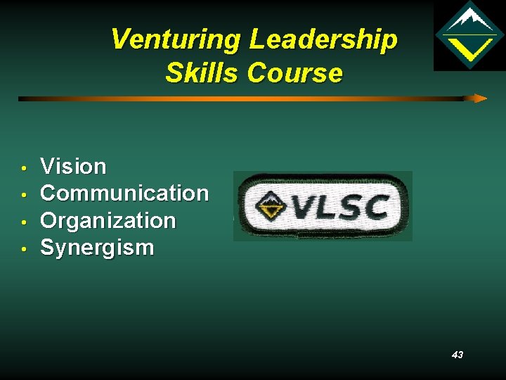 Venturing Leadership Skills Course • • Vision Communication Organization Synergism 43 