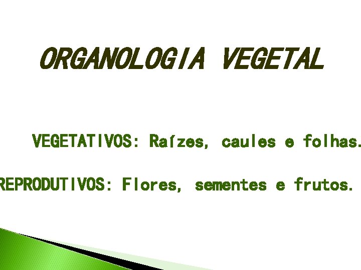 ORGANOLOGIA VEGETAL VEGETATIVOS: Raízes, caules e folhas. REPRODUTIVOS: Flores, sementes e frutos. 