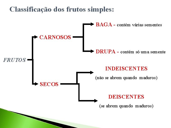 Classificação dos frutos simples: BAGA - contém várias sementes CARNOSOS DRUPA - contém só