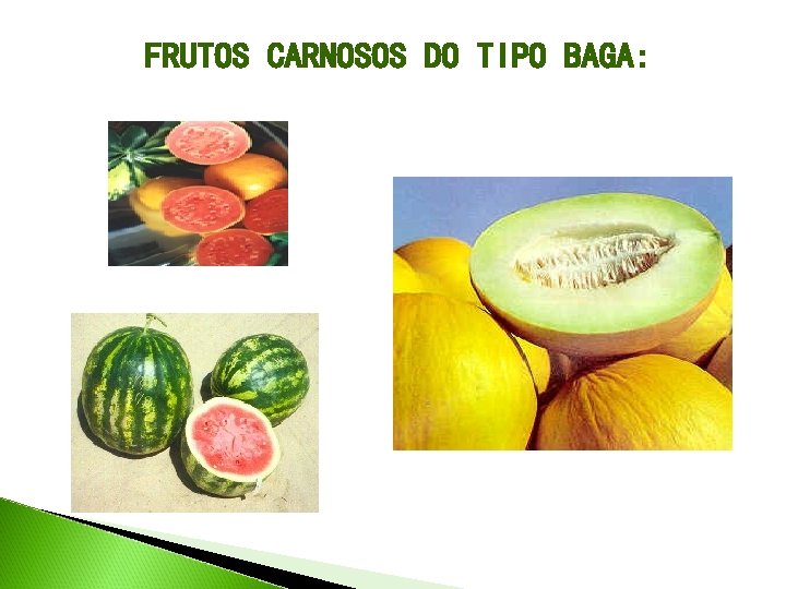 FRUTOS CARNOSOS DO TIPO BAGA: 