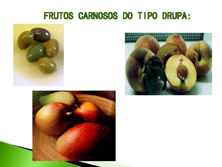 FRUTOS CARNOSOS DO TIPO DRUPA: 