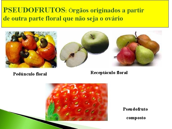 PSEUDOFRUTOS: Órgãos originados a partir de outra parte floral que não seja o ovário