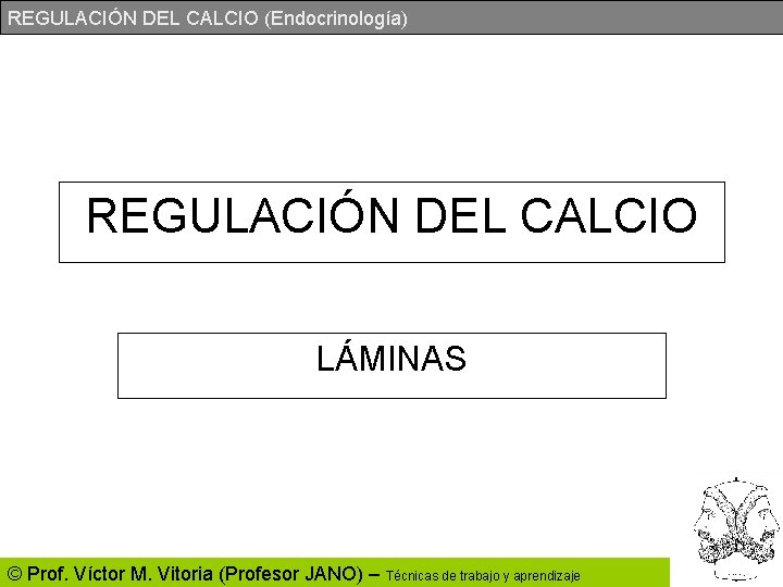 REGULACIÓN DEL CALCIO (Endocrinología) REGULACIÓN DEL CALCIO LÁMINAS © Prof. Víctor M. Vitoria (Profesor