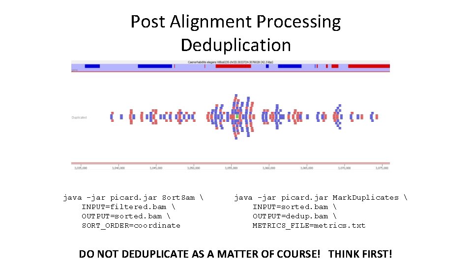 Post Alignment Processing Deduplication java -jar picard. jar Sort. Sam  INPUT=filtered. bam 