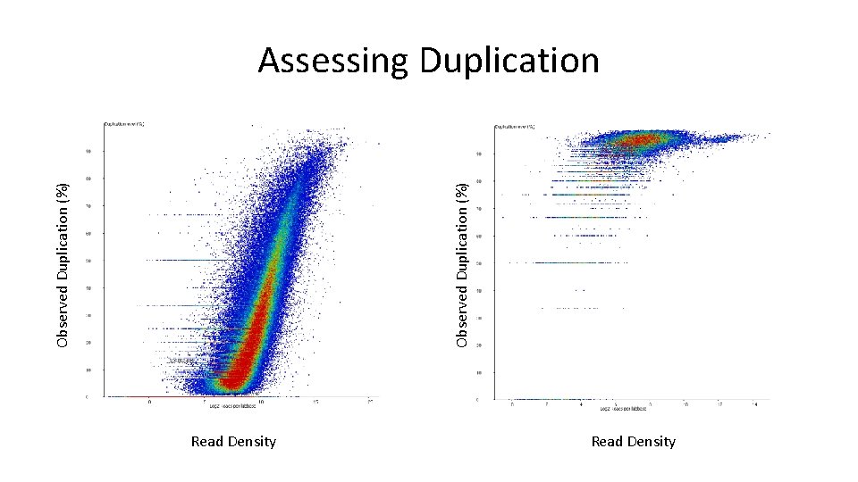 Observed Duplication (%) Assessing Duplication Read Density 