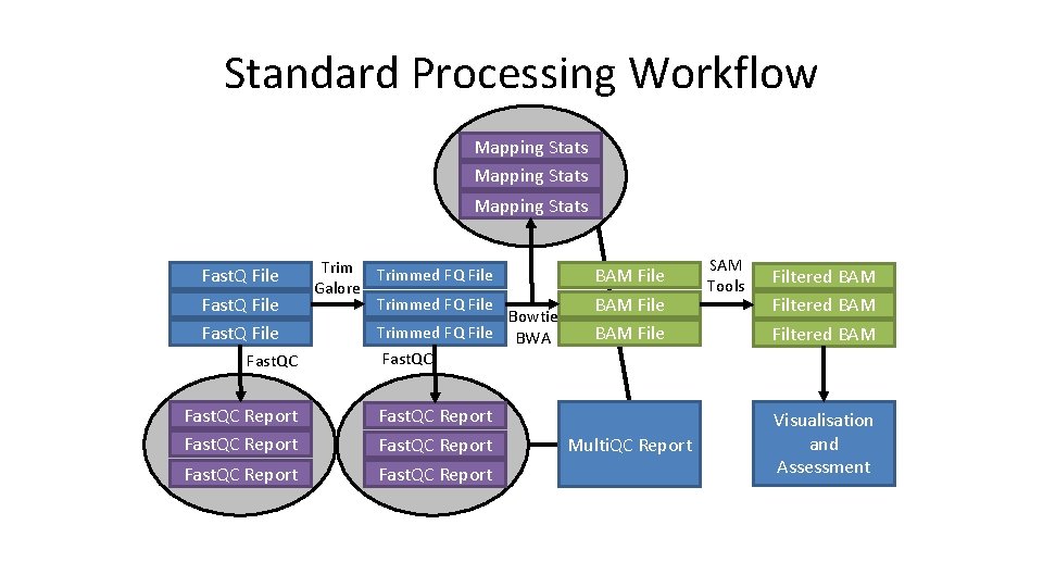 Standard Processing Workflow Mapping Stats Fast. Q File Fast. QC Report Trimmed FQ File