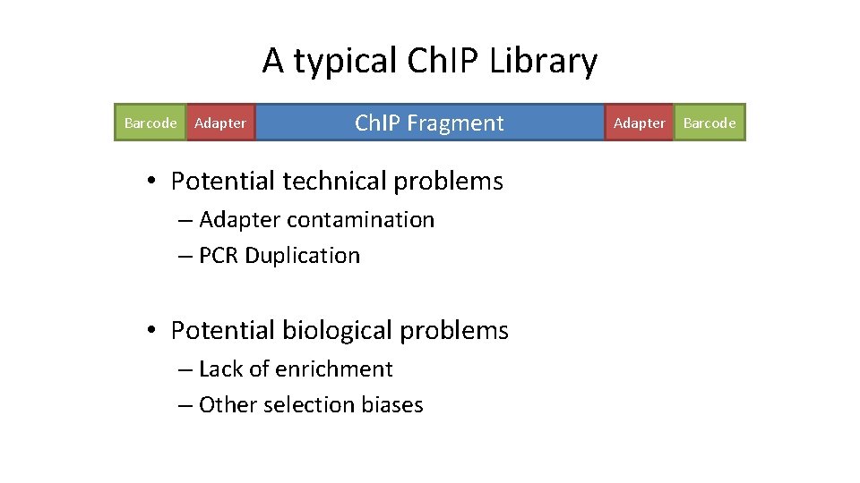 A typical Ch. IP Library Barcode Adapter Ch. IP Fragment • Potential technical problems