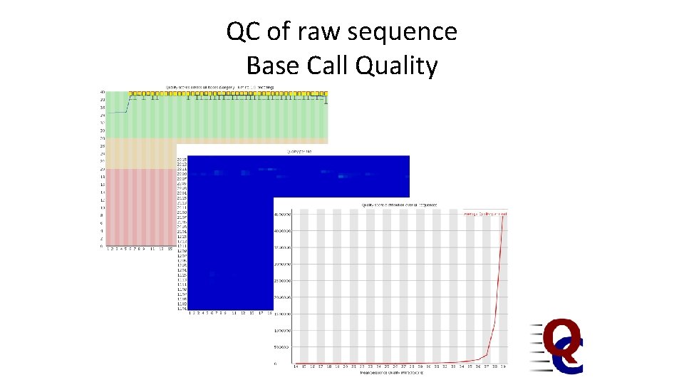 QC of raw sequence Base Call Quality 