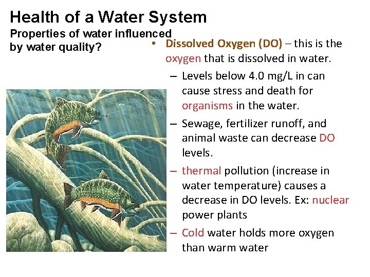 Health of a Water System Properties of water influenced • Dissolved Oxygen (DO) –