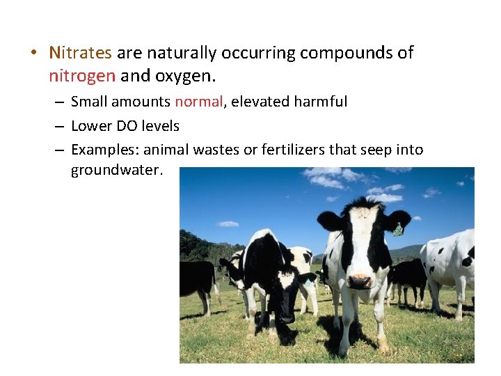 • Nitrates are naturally occurring compounds of nitrogen and oxygen. – Small amounts