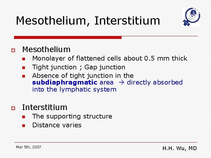 Mesothelium, Interstitium o Mesothelium n n n o Monolayer of flattened cells about 0.