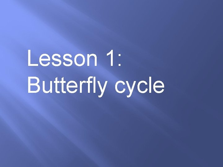 Lesson 1: Butterfly cycle 