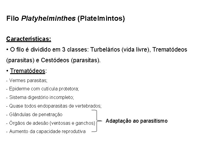 Filo Platyhelminthes (Platelmintos) Características: • O filo é dividido em 3 classes: Turbelários (vida