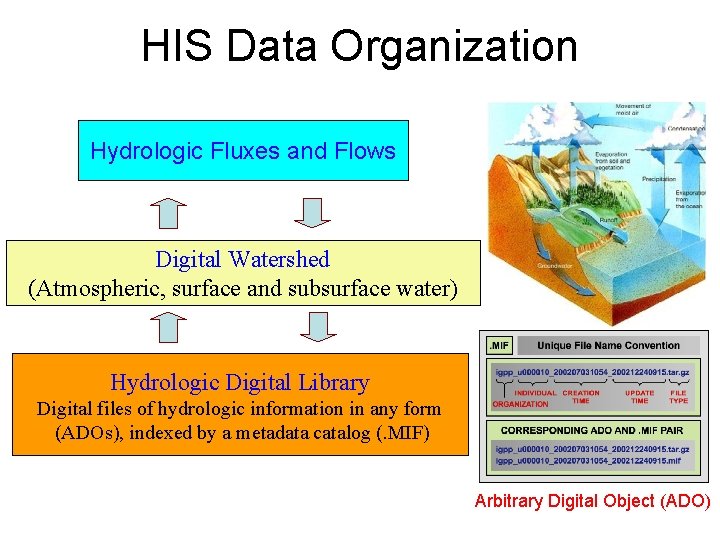 HIS Data Organization Hydrologic Fluxes and Flows Digital Watershed (Atmospheric, surface and subsurface water)