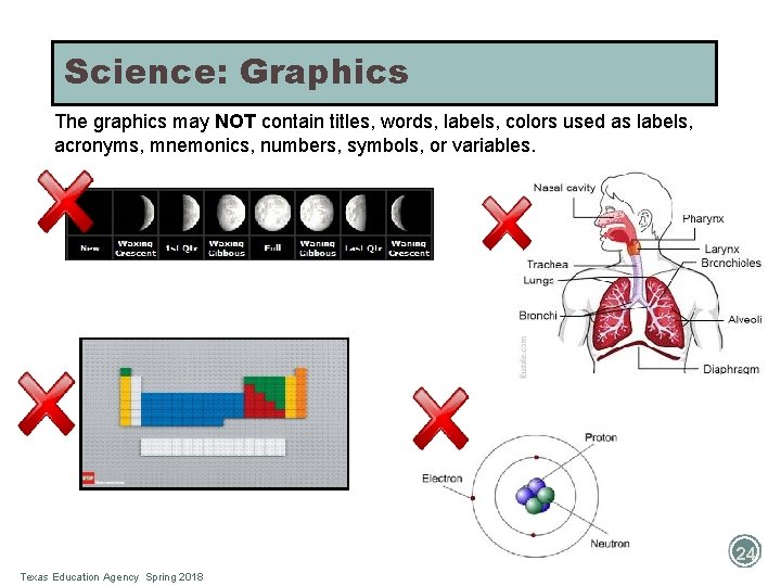 Science: Graphics The graphics may NOT contain titles, words, labels, colors used as labels,
