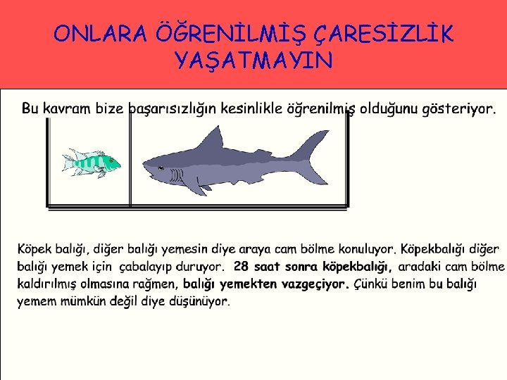 ONLARA ÖĞRENİLMİŞ ÇARESİZLİK YAŞATMAYIN 