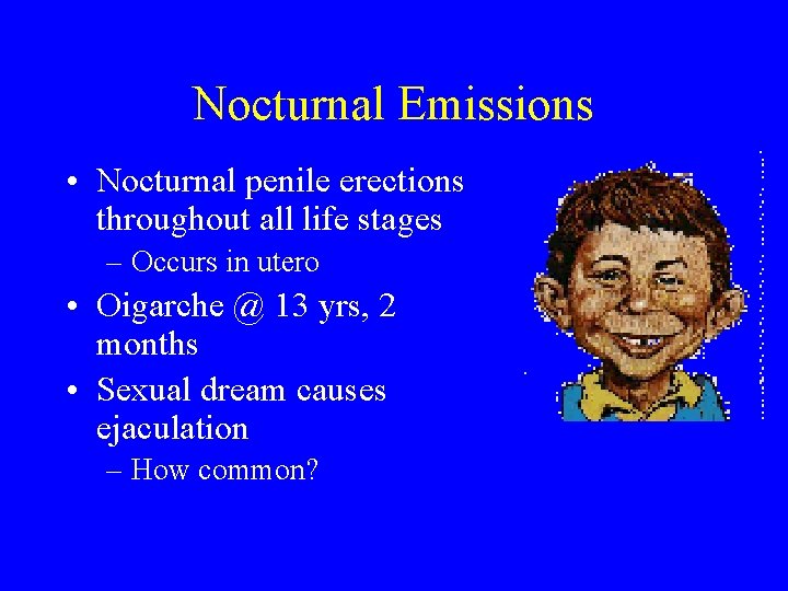 Nocturnal Emissions • Nocturnal penile erections throughout all life stages – Occurs in utero