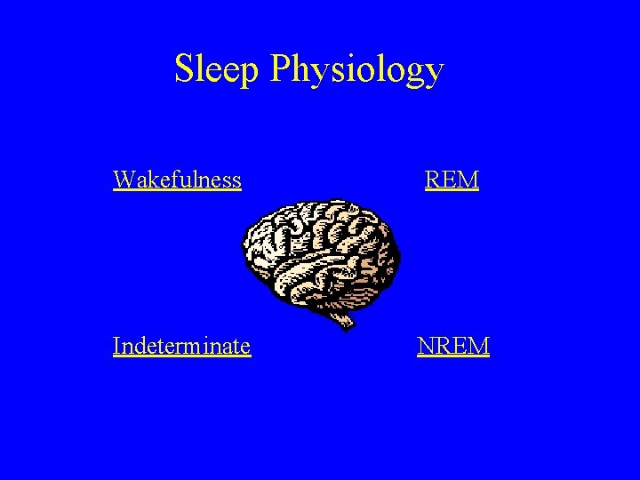 Sleep Physiology Wakefulness REM Indeterminate NREM 