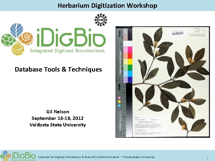 Herbarium Digitization Workshop Database Tools & Techniques Gil Nelson September 16 -18, 2012 Valdosta